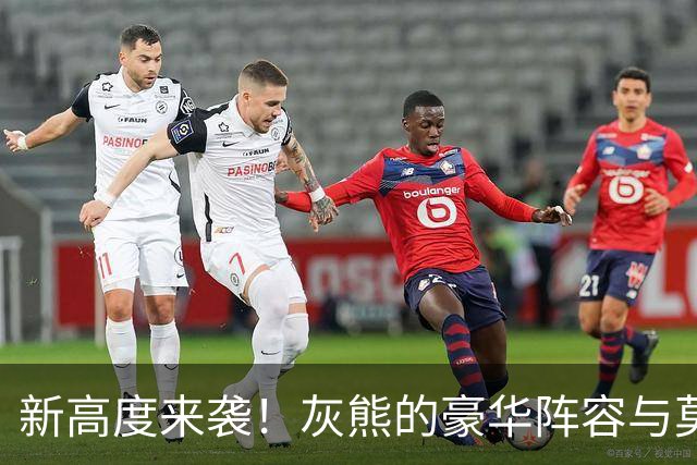 新高度来袭！灰熊的豪华阵容与莫兰特道别